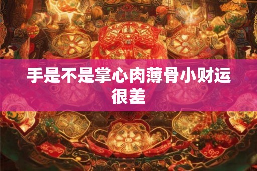 手是不是掌心肉薄骨小财运很差