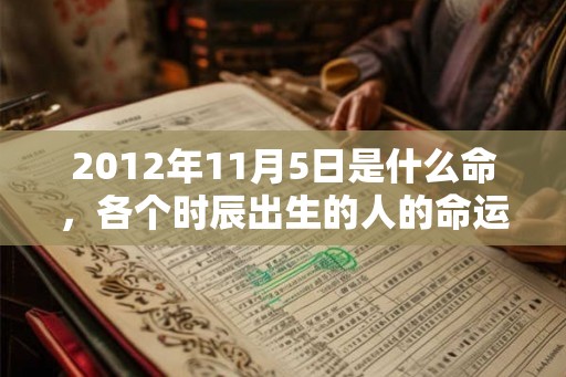 2012年11月5日是什么命,各个时辰出生的人的命运 2012年11月5日是什么命,各个时辰出生的人的命运