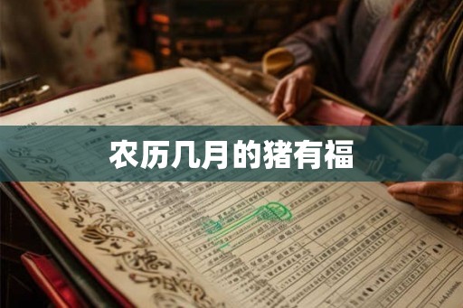 农历几月的猪有福 农历几月的猪有福