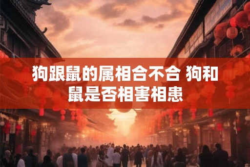 狗跟鼠的属相合不合 狗和鼠是否相害相患