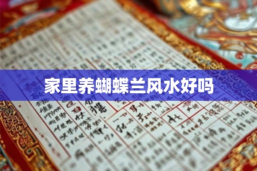 家里养蝴蝶兰风水好吗