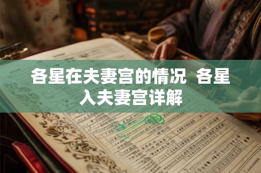 各星在夫妻宫的情况  各星入夫妻宫详解