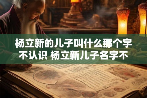 杨立新的儿子叫什么那个字不认识 杨立新儿子名字不知道