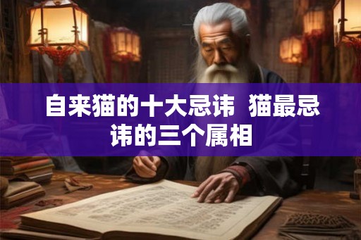 自来猫的十大忌讳  猫最忌讳的三个属相