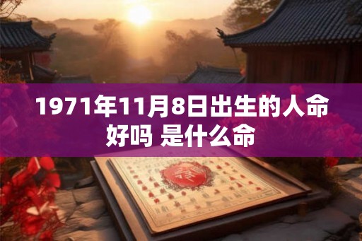 1971年11月8日出生的人命好吗 是什么命 1971年11月8日出生的人命好吗 是什么命