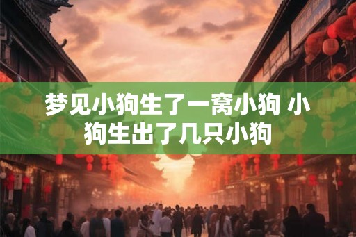 梦见小狗生了一窝小狗 小狗生出了几只小狗 梦见小狗生了一窝小狗 小狗生出了几只小狗
