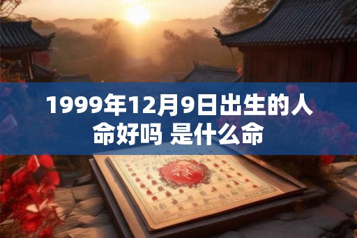 1999年12月9日出生的人命好吗 是什么命