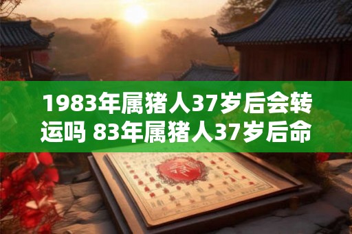 1983年属猪人37岁后会转运吗 83年属猪人37岁后命运如何