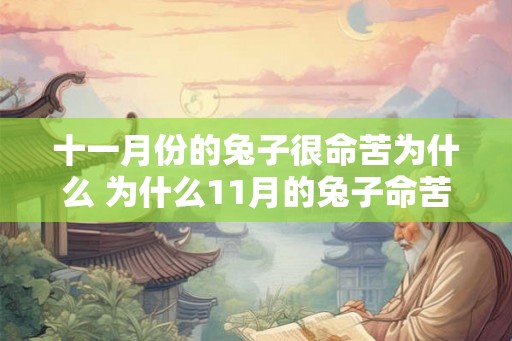 十一月份的兔子很命苦为什么 为什么11月的兔子命苦