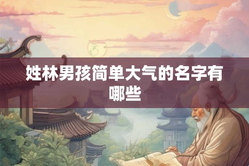 姓林男孩简单大气的名字有哪些
