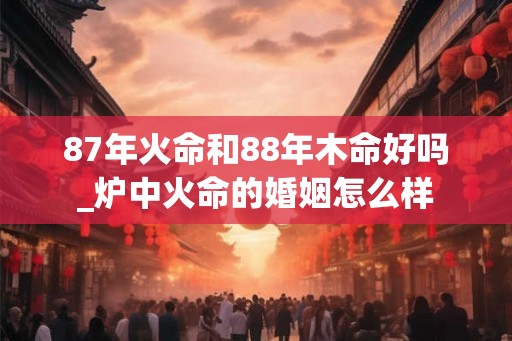 87年火命和88年木命好吗_炉中火命的婚姻怎么样