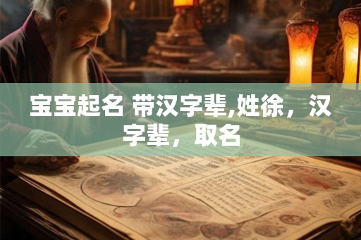 宝宝起名 带汉字辈,姓徐，汉字辈，取名