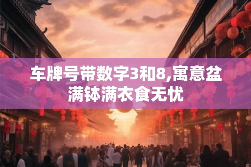 车牌号带数字3和8,寓意盆满钵满衣食无忧