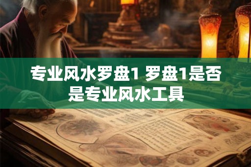 专业风水罗盘1 罗盘1是否是专业风水工具