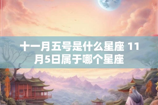 十一月五号是什么星座 11月5日属于哪个星座