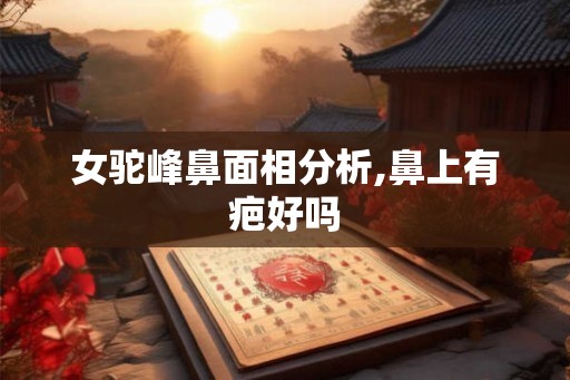 女驼峰鼻面相分析,鼻上有疤好吗