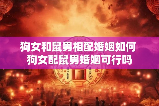 狗女和鼠男相配婚姻如何 狗女配鼠男婚姻可行吗