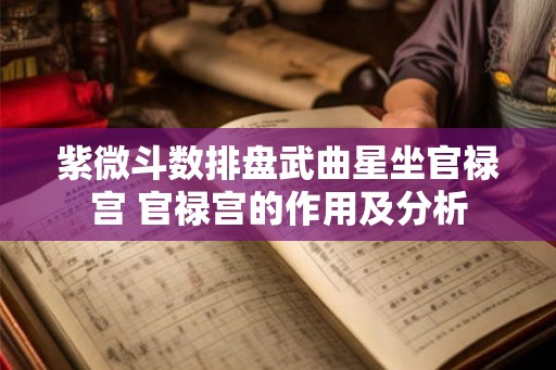紫微斗数排盘武曲星坐官禄宫 官禄宫的作用及分析