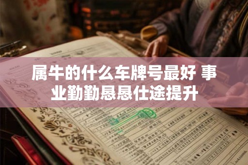 属牛的什么车牌号最好 事业勤勤恳恳仕途提升