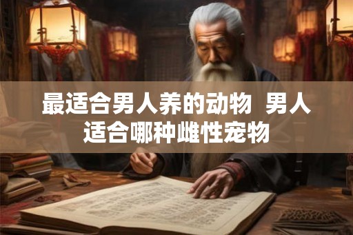 最适合男人养的动物  男人适合哪种雌性宠物