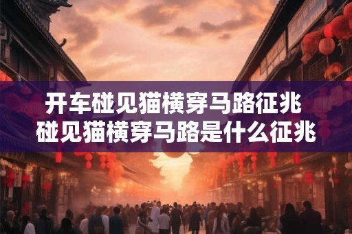开车碰见猫横穿马路征兆 碰见猫横穿马路是什么征兆