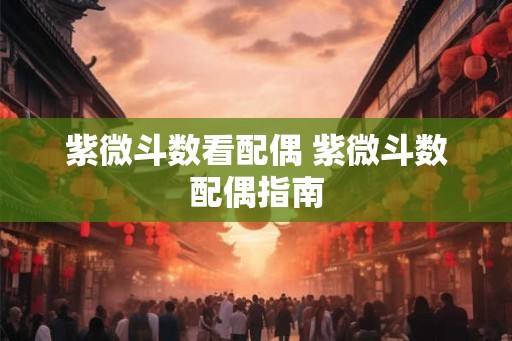 紫微斗数看配偶 紫微斗数配偶指南