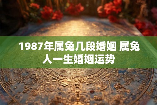 1987年属兔几段婚姻 属兔人一生婚姻运势 1987年属兔几段婚姻 属兔人一生婚姻运势