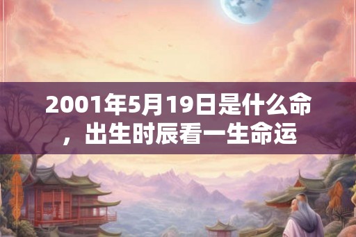 2001年5月19日是什么命，出生时辰看一生命运