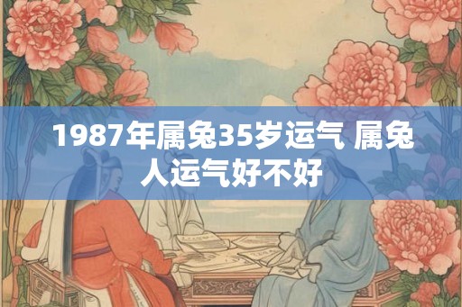1987年属兔35岁运气 属兔人运气好不好
