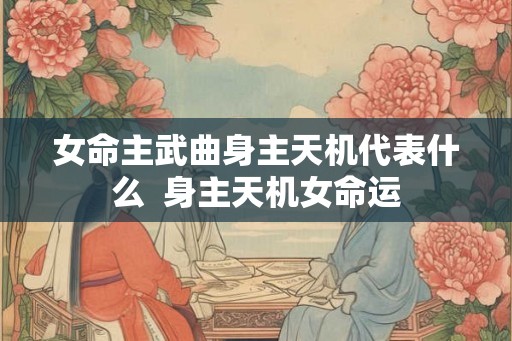 女命主武曲身主天机代表什么 身主天机女命运 女命主武曲身主天机代表什么 身主天机女命运