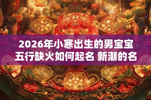 2026年小寒出生的男宝宝五行缺火如何起名 新潮的名字大全