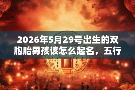 2026年5月29号出生的双胞胎男孩该怎么起名，五行属什么