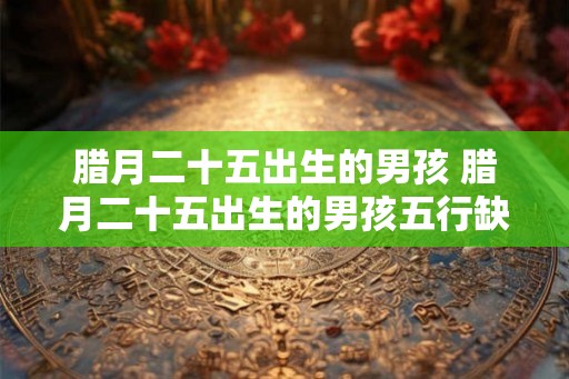腊月二十五出生的男孩 腊月二十五出生的男孩五行缺什么