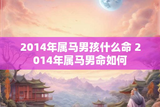 2014年属马男孩什么命 2014年属马男命如何 2014年属马男孩什么命 2014年属马男命如何