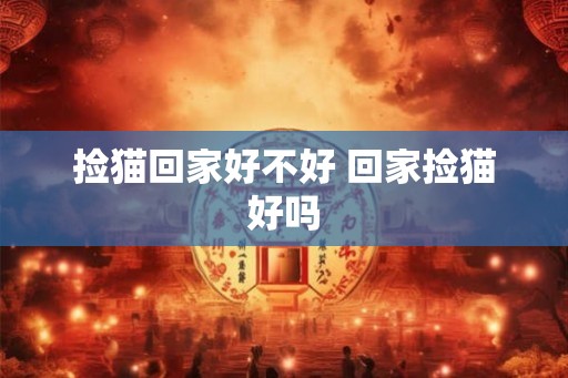 捡猫回家好不好 回家捡猫好吗