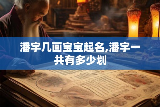 潘字几画宝宝起名,潘字一共有多少划