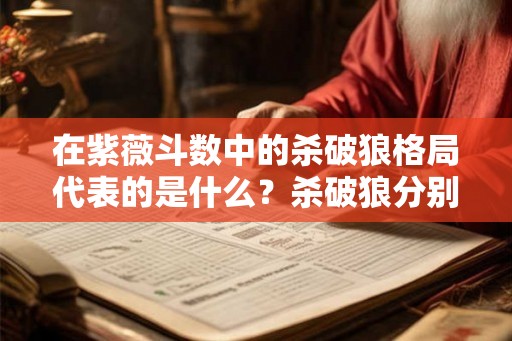 在紫薇斗数中的杀破狼格局代表的是什么？杀破狼分别代表什么？