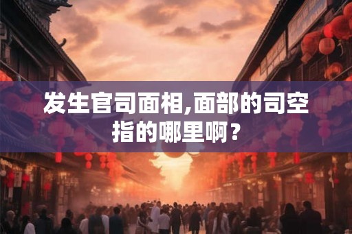 发生官司面相,面部的司空指的哪里啊？