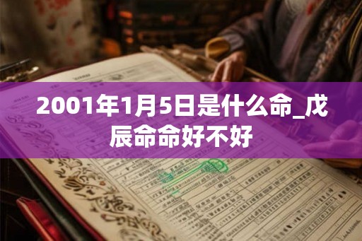 2001年1月5日是什么命_戊辰命命好不好