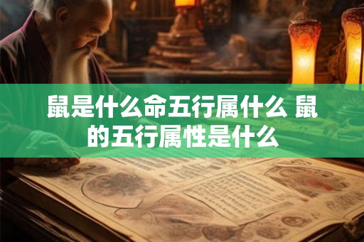 鼠是什么命五行属什么 鼠的五行属性是什么