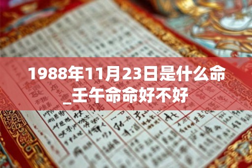 1988年11月23日是什么命_壬午命命好不好