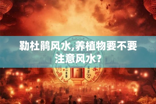 勒杜鹃风水,养植物要不要注意风水？