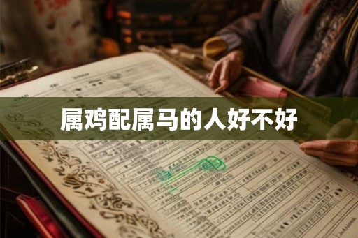 属鸡配属马的人好不好
