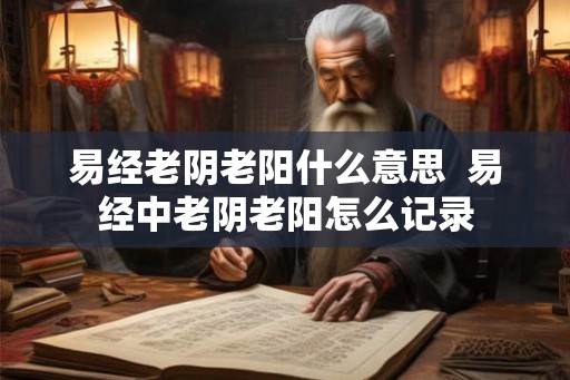 易经老阴老阳什么意思  易经中老阴老阳怎么记录