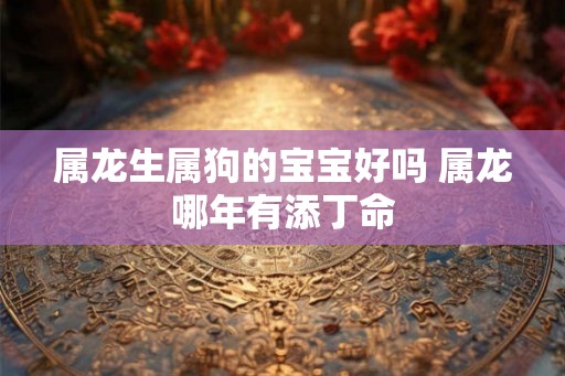 属龙生属狗的宝宝好吗 属龙哪年有添丁命 属龙生属狗的宝宝好吗 属龙哪年有添丁命