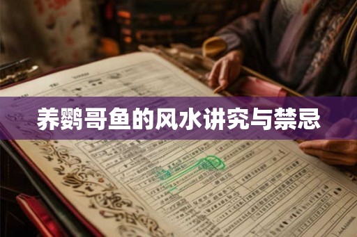 养鹦哥鱼的风水讲究与禁忌