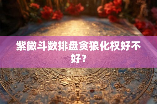 紫微斗数排盘贪狼化权好不好? 紫微斗数排盘贪狼化权好不好?