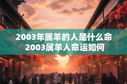 2003年属羊的人是什么命 2003属羊人命运如何 2003年属羊的人是什么命 2003属羊人命运如何