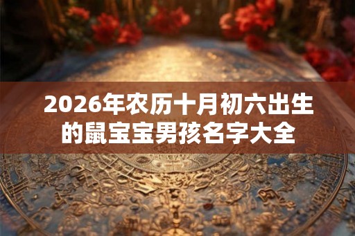 2026年农历十月初六出生的鼠宝宝男孩名字大全