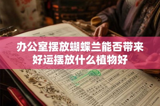 办公室摆放蝴蝶兰能否带来好运摆放什么植物好